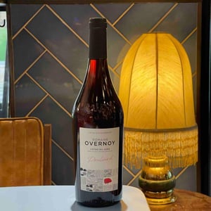 Poulsard - Domaine Overnoy - guillaume-overnoy -2020