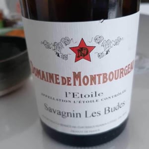 Poulsard - Domaine de Montbourgeau - nicole-cesar-deriaux