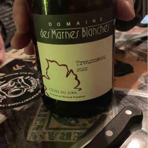 Domaine Des Marnes Blanches - Pauline & Géraud Fromont - Poulsard