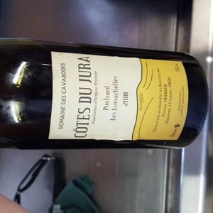 Domaine des Cavarodes - Etienne Thiebaud - Poulsard Les Lumachelles