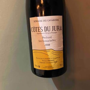 Poulsard Les Lumachelles - Domaine des Cavarodes - Etienne Thiebaud 
