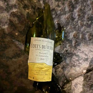 Poulsard Les Lumachelles - Domaine des Cavarodes - Etienne Thiebaud 