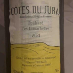 Poulsard Les Lumachelles - Domaine des Cavarodes - Etienne Thiebaud 