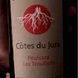 Les Pieds Sur Terre - Valentin Morel - Poulsard Les Trouillots