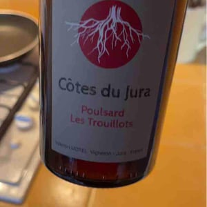 Les Pieds Sur Terre - Valentin Morel - Poulsard Les Trouillots