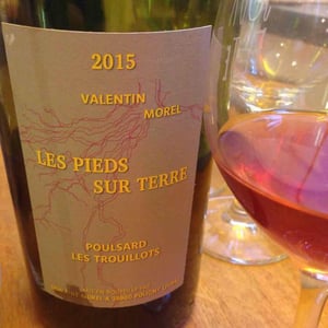Poulsard Les Trouillots - Les Pieds Sur Terre - valentin-morel