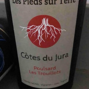 Poulsard Les Trouillots - Les Pieds Sur Terre - valentin-morel