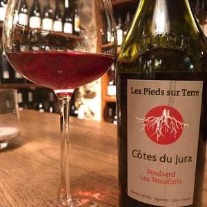 Poulsard Les Trouillots - Les Pieds Sur Terre - Valentin Morel 
