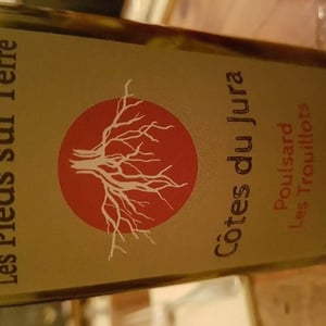 Poulsard Les Trouillots 2016