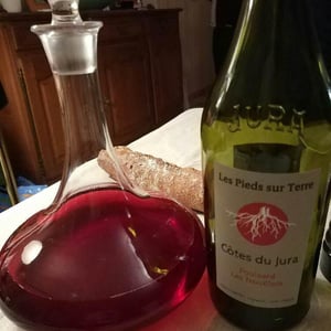 Poulsard Les Trouillots - Les Pieds Sur Terre - valentin-morel