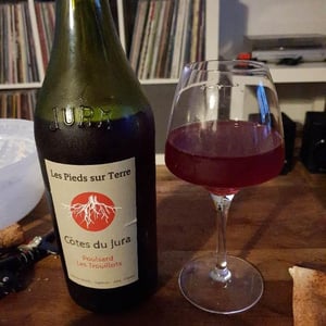 Poulsard Les Trouillots 2016