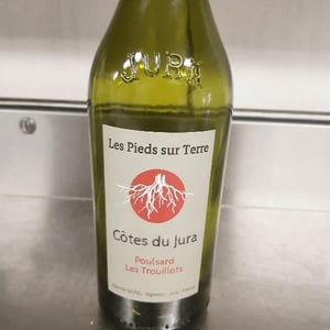 Les Pieds Sur Terre - Valentin Morel - Poulsard Les Trouillots