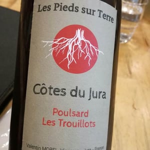 Poulsard Les Trouillots - Les Pieds Sur Terre - valentin-morel