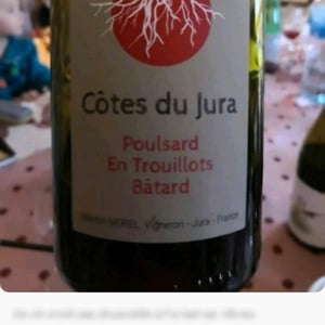 Les Pieds Sur Terre - Valentin Morel - Poulsard Les Trouillots