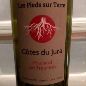 Les Pieds Sur Terre - Valentin Morel - Poulsard Les Trouillots