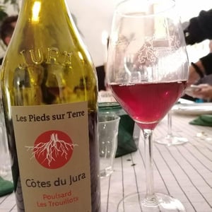 Les Pieds Sur Terre - Valentin Morel - Poulsard Les Trouillots