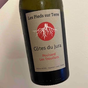Poulsard Les Trouillots - Les Pieds Sur Terre - Valentin Morel 