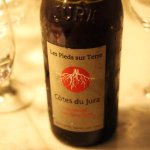 Poulsard Les Trouillots - Les Pieds Sur Terre - valentin-morel