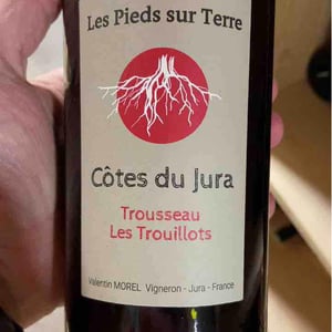 Poulsard Les Trouillots - Les Pieds Sur Terre - valentin-morel