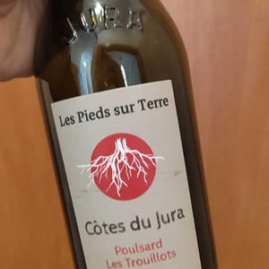 Poulsard Les Trouillots - Les Pieds Sur Terre - Valentin Morel 