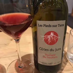 Poulsard Les Trouillots - Les Pieds Sur Terre - valentin-morel