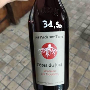 Poulsard Les Trouillots - Les Pieds Sur Terre - valentin-morel