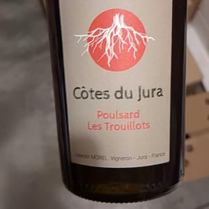 Poulsard Les Trouillots - Les Pieds Sur Terre - valentin-morel