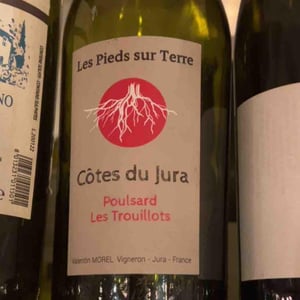 Poulsard Les Trouillots - Les Pieds Sur Terre - valentin-morel