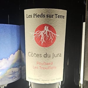 Trousseau Les Trouillots (new label) - Les Pieds Sur Terre - valentin-morel -2022