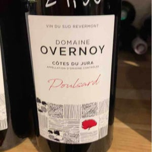 Poulsard - Domaine Overnoy - guillaume-overnoy -2020