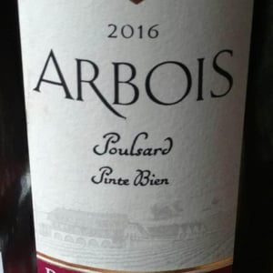 Poulsard Pinte Bien - Domaine de la Pinte - pierre-martin