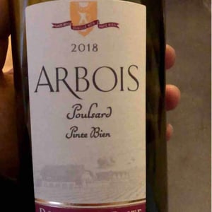 Poulsard Pinte Bien - Domaine de la Pinte - pierre-martin