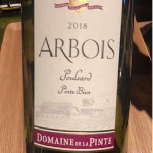 Poulsard Pinte Bien - Domaine de la Pinte - Pierre Martin 