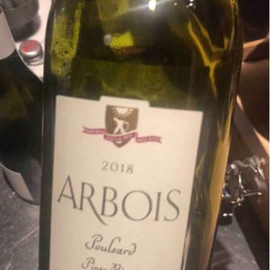 Poulsard Pinte Bien - Domaine de la Pinte - Pierre Martin 