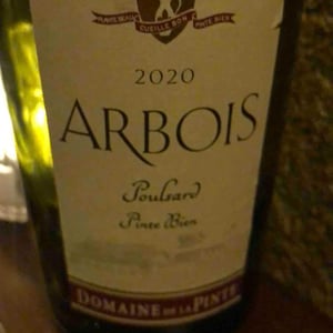 Poulsard Pinte Bien - Domaine de la Pinte - pierre-martin