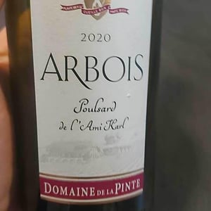 Poulsard Pinte Bien - Domaine de la Pinte - pierre-martin