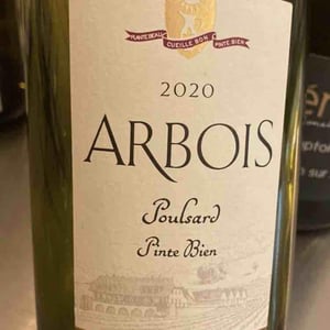 Poulsard Pinte Bien - Domaine de la Pinte - pierre-martin