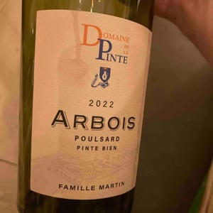 Poulsard Pinte Bien - Domaine de la Pinte - pierre-martin