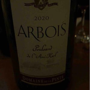 Domaine de la Pinte - Pierre Martin - Poulsard Pinte Bien