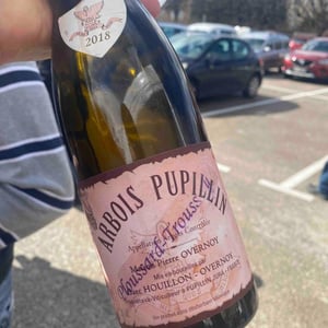 Poulsard-Trousseau - Maison Pierre Overnoy - Emmanuel Houillon & Pierre Overnoy -2018