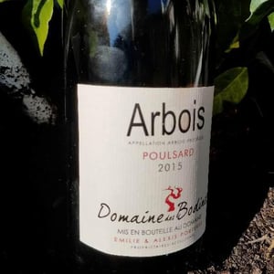 Poulsard - Domaine des Bodines - emilie-alexis-porteret