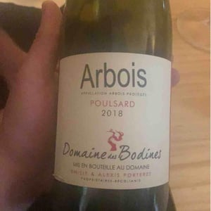 Poulsard - Domaine des Bodines - emilie-alexis-porteret