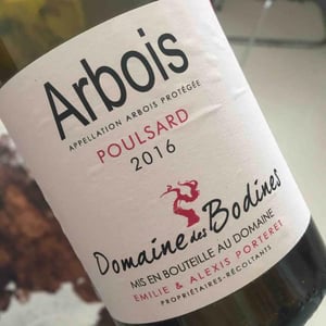 Poulsard - Domaine des Bodines - Emilie & Alexis Porteret 