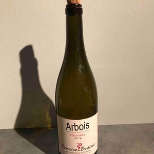 Poulsard - Domaine des Bodines - emilie-alexis-porteret