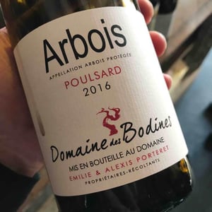Poulsard - Domaine des Bodines - Emilie & Alexis Porteret 