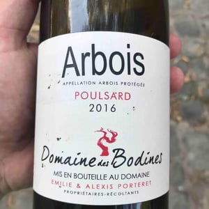 Poulsard - Domaine des Bodines - emilie-alexis-porteret