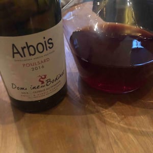 Poulsard - Domaine des Bodines - Emilie & Alexis Porteret 