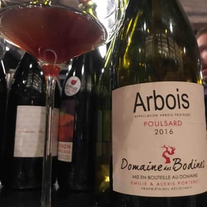 Poulsard - Domaine des Bodines - Emilie & Alexis Porteret 