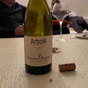Poulsard - Domaine des Bodines - Emilie & Alexis Porteret 