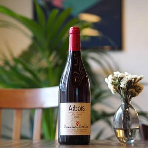 Poulsard - Domaine des Bodines - emilie-alexis-porteret